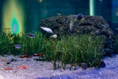 edefrutos_28042012_141512