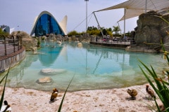 edefrutos_28042012_142445