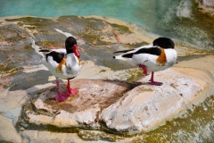 edefrutos_28042012_142858