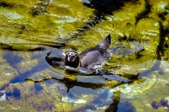 edefrutos_28042012_143103