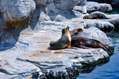 edefrutos_28042012_145901