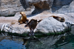 edefrutos_28042012_145924