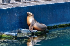 edefrutos_28042012_150004