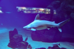 edefrutos_28042012_171912