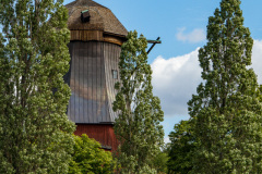 edefrutos_01082017_110234