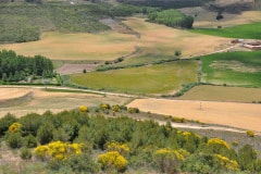 edefrutos_08062014_143121