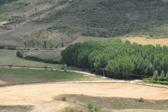 edefrutos_08062014_143146