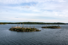 edefrutos_01082017_181813