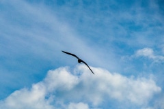 edefrutos_01082017_182010 edefrutos_01082017_182010