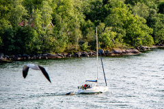 edefrutos_01082017_182110 edefrutos_01082017_182110