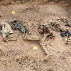 Las masacres en la prehistoria, de la violencia a la guerra