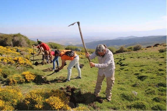LA-PRIMERA-REVOLUCIÓN-VERDE
